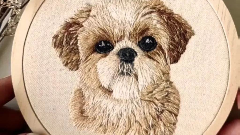 shih tzu